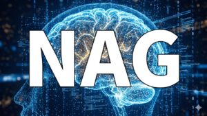 ネステロフの加速勾配法（NAG）