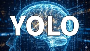 YOLO