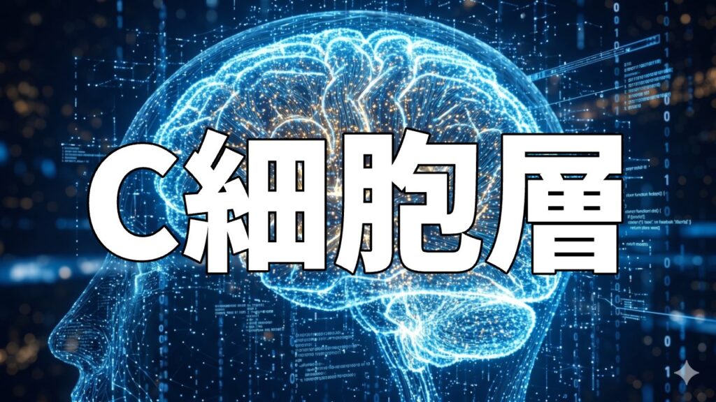 C細胞層